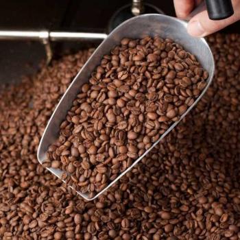 Dauner Kaffeerösterei Java Blawan