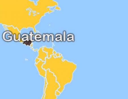 Die R&ouml;sterei Guatemala Maragogype
