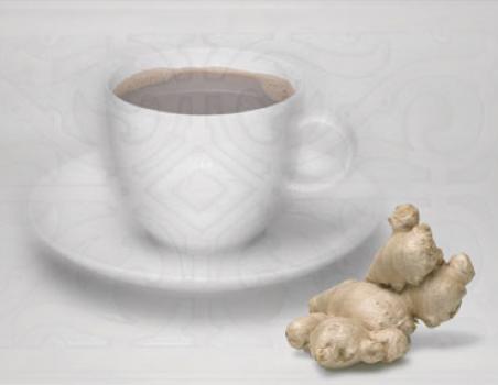 Die R&ouml;sterei Ingwer