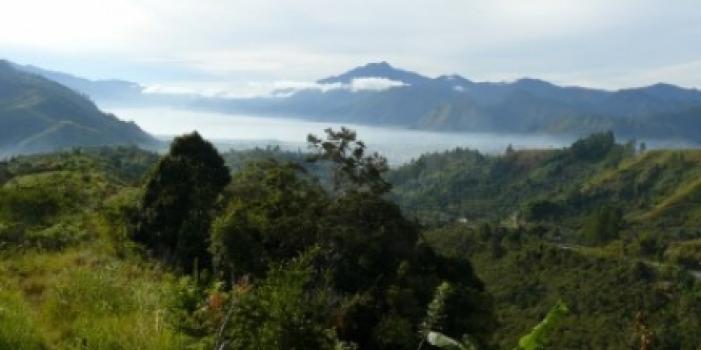 Grandoro Gourmetkaffee Indonesien JAVA wp Grade 1