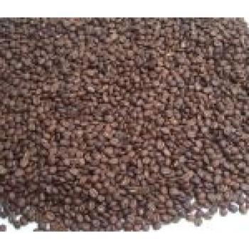 Kaffee Fredo Espresso Gastro