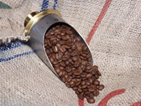 Kaffeefee Sachsen Brasil Santos