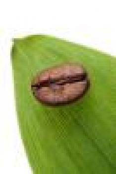 R&ouml;sterei B&ouml;gl Columbia - Supremo