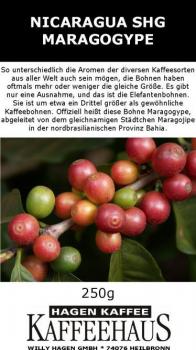 Hagenkaffee Nicaragua SHG Maragogype
