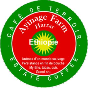 World&acute;s Best Coffee Ayinage Farm &mdash; Harrar &mdash; Ethiopie