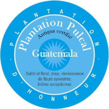 World&acute;s Best Coffee Plantation Pulcal. Antigua Certifi&eacute;. Guatemala