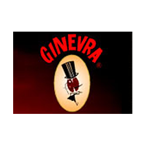 GINEVRA srl.